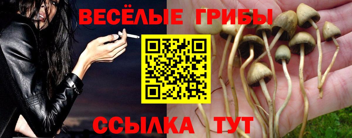 Псилоцибиновые грибы GOLDEN TEACHER  Псилоцибиновые грибы Magic Shrooms  Майский  Вход с VPN 